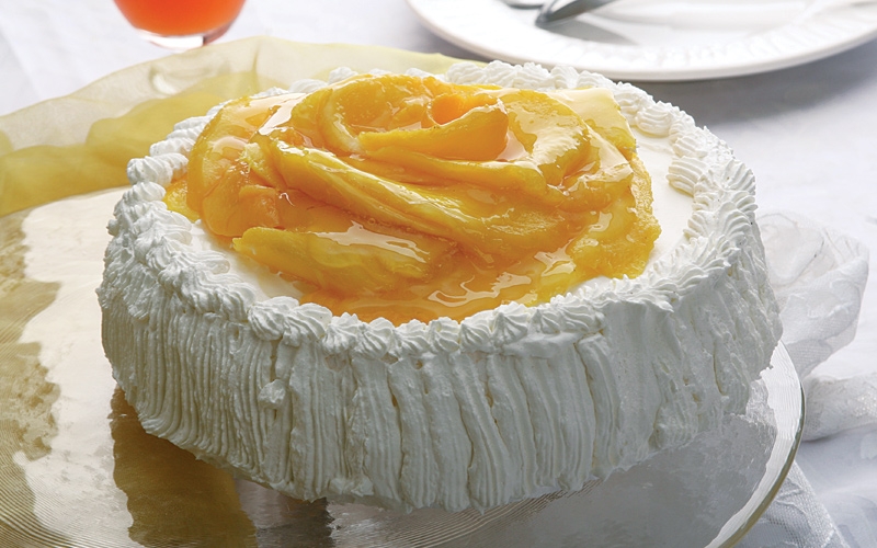 جاتوه المانغا