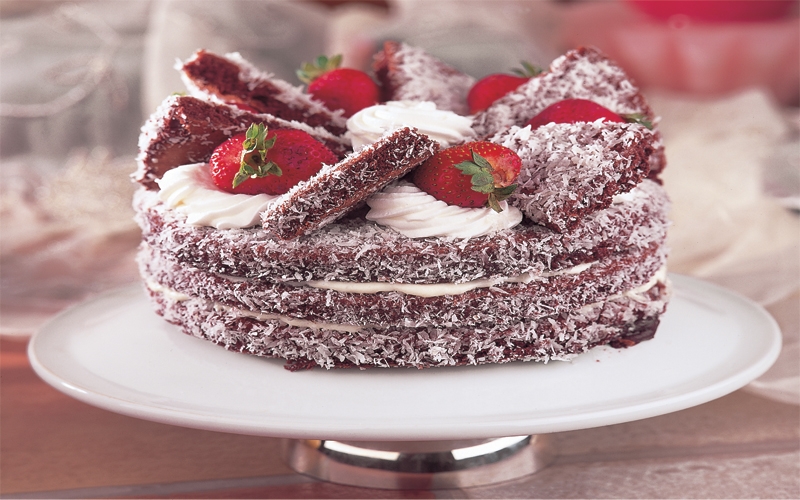 جاتوه الفراشة الاسفنجي