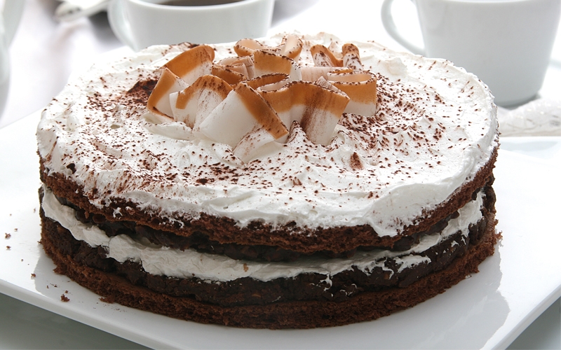 جاتوه الشوكولا وجوز الهند