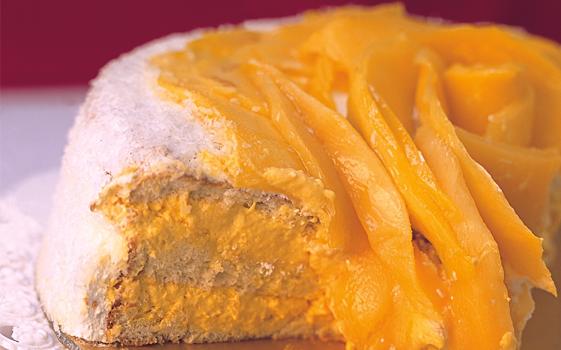 جاتوه موس المانجا