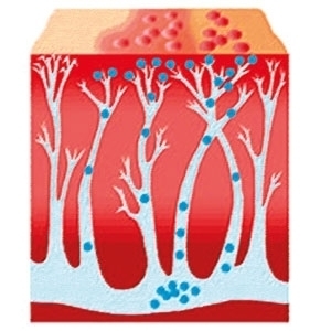 زنّار النار لا يعدي... 