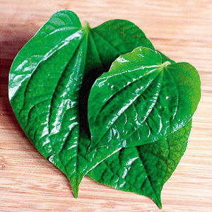 هل أنت مدمنة على الأعشاب؟