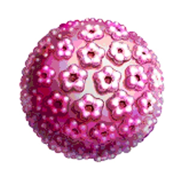 ١٠ حقائق عن سرطان عنق الرحم