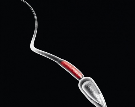 كل ما تريدين معرفته عن صحة زوجك الإنجابية... هل تشكل عائقاً في العلاقة؟