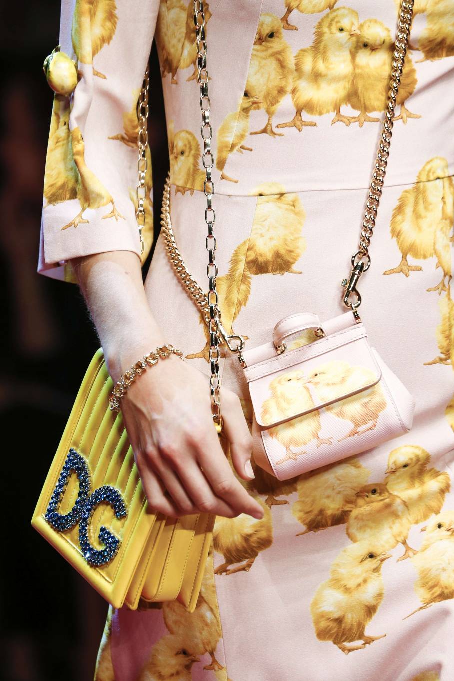 Dolce and Gabbana Dolce and Gabbana