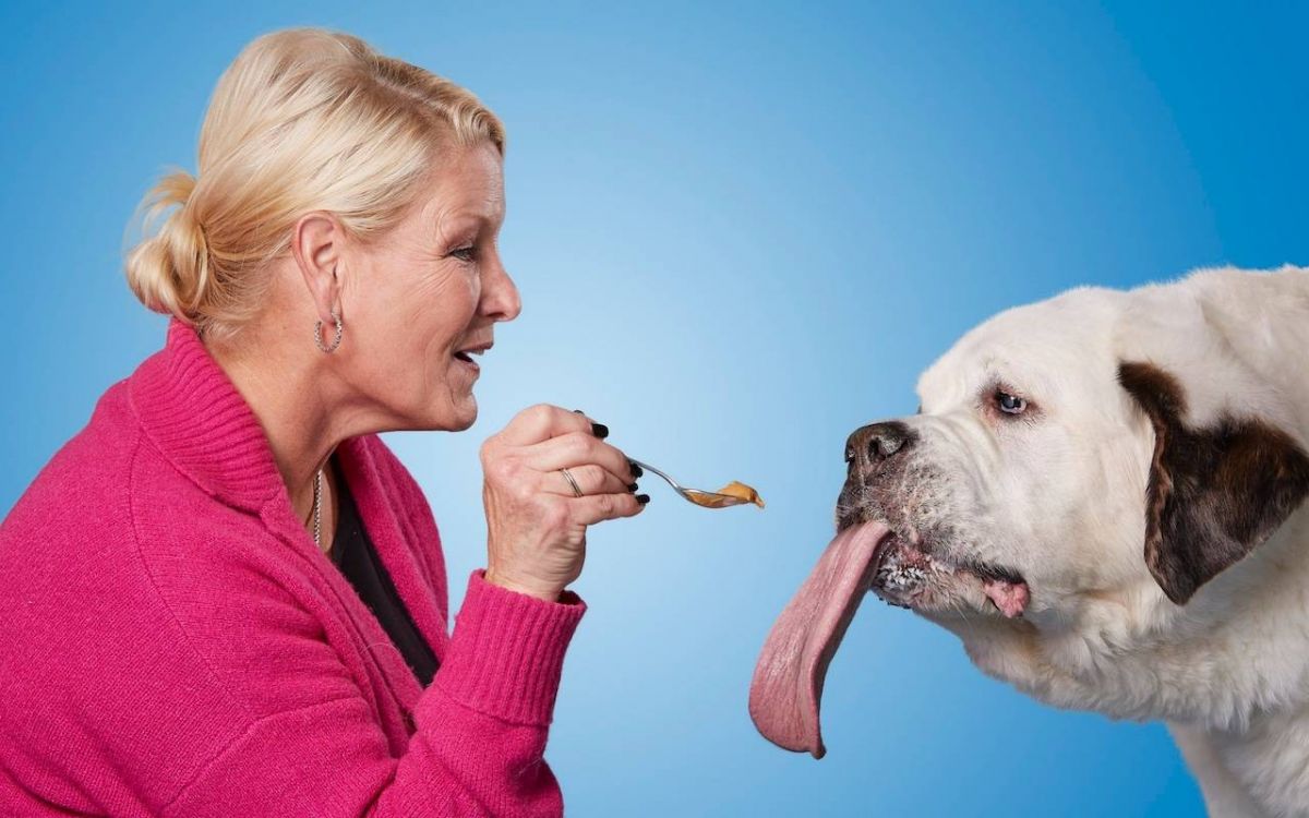 بالصور  - كلب يدخل موسوعة 