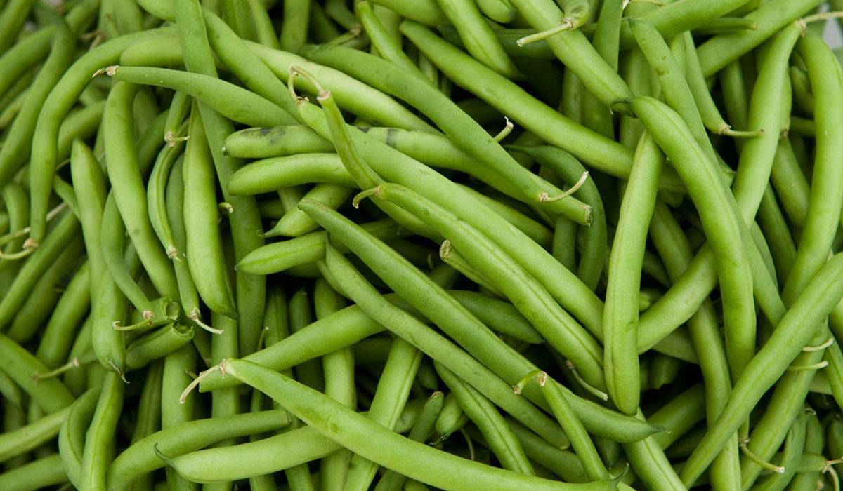 الفاصولياء الخضراء النيئة فيها 