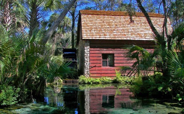 دراسة - العيش في مناطق خضراء يجعلكم تعيشون لوقت أطول