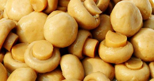 دراسة - كُلي حبة فطر واحدة يومياً وهذا ما سيحصل لبشرتك