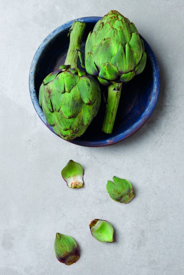 الأرضي شوكي لتنشيط الدماغ ومحاربة عسر الهضم