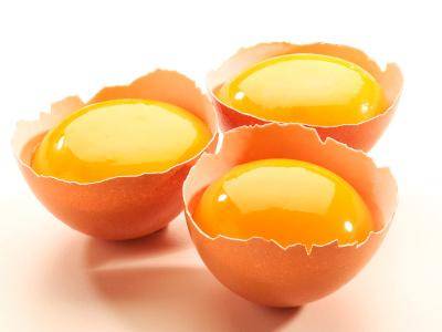 ما لا تعرفونه عن فوائد صفار البيض على الصحة