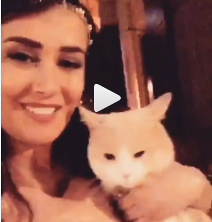 بالفيديو - كندة حنا تكشف 