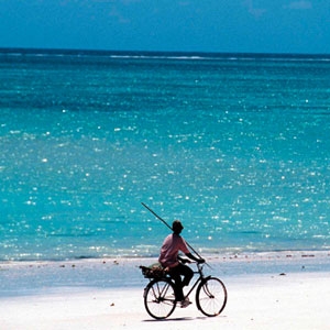 الإبحار شراعيًا في زنزيبار في تانزانيا