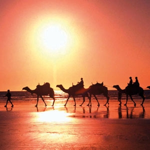 في أوستراليا...