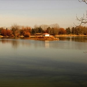 بين قصر موسى ومزرعة تعنايل 