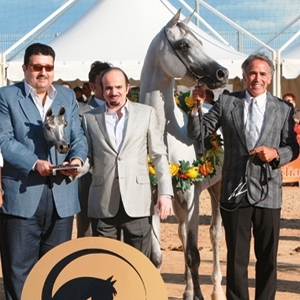 بانديروس الخالدية بطل الفحول