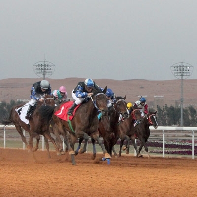 مهرجان الأمير سلطان للجواد العربي الأكبر في تاريخ الخيل عالمياً