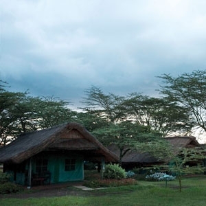 كينيا السمراء...