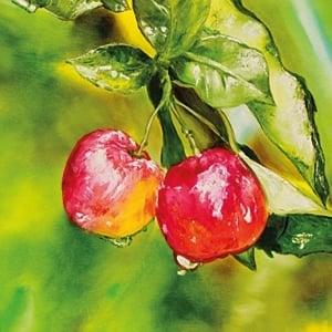 مسابقة مصرف الراجحي الأولى للرسم للسيدات