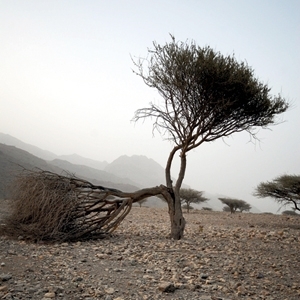 معرض شخصي للمصوّرة الإماراتية منال بن عمرو