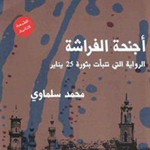 'أجنحة الفراشة'...