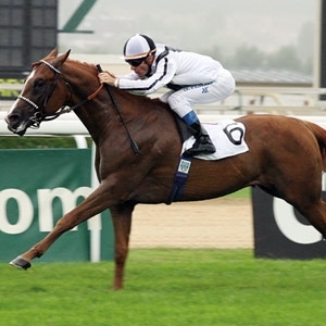 إنجازات جديدة لإسطبلات 'الخالدية'