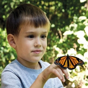 من قال إن الطفل الذي يعاني إعاقة لا يكترث للألعاب؟