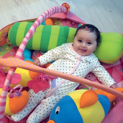 للذكاء العاطفي 5 مجالات 