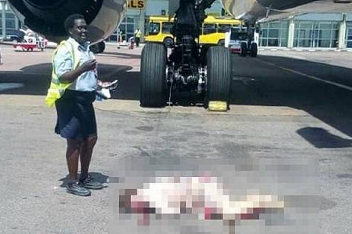 بالصور - سقوط مضيفة من الطائرة... اليكم التفاصيل الغامضة