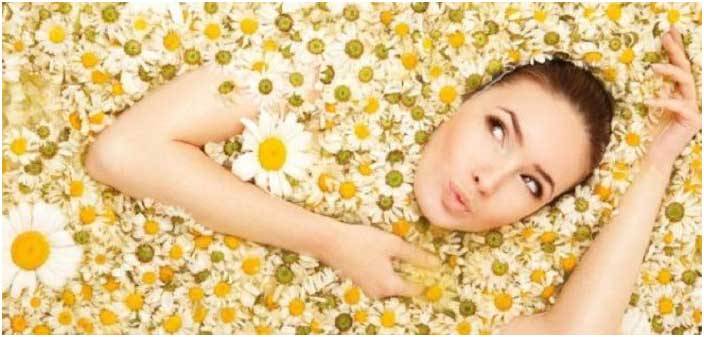 أزهار البابونج.. شفاء للجسد والروح أيضاً