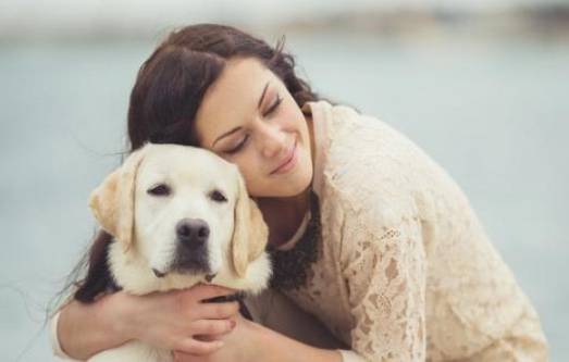 الكلاب.. قدرات 