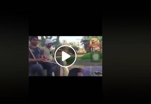 هذا الفيديو الغريب حقق نسبة مشاهدة عالية... شاهدوه واحكموا