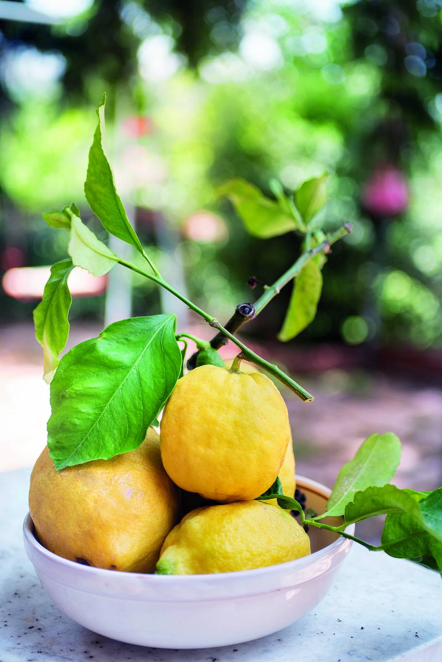 الليمون الحامض للوقاية من السرطان والصلع