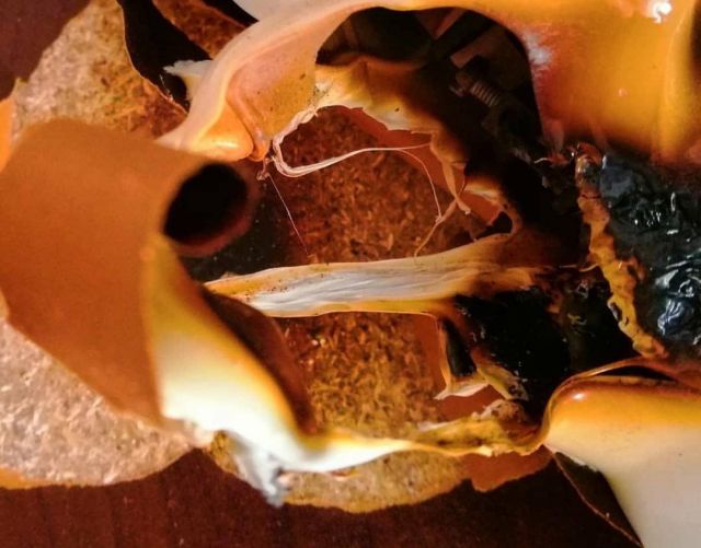 احتراق منزل نجمة مصرية.. من هي؟ وما الذي حذرت أصدقاءها منه؟