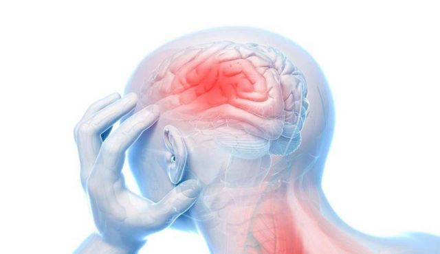 ما علاقة القعصين والتوابل الأخرى بأمراض الدماغ؟