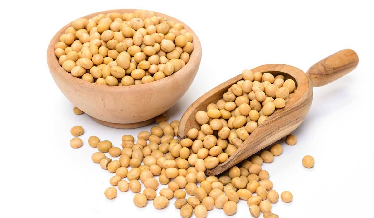 ما علاقة الصويا بأعراض سن اليأس؟