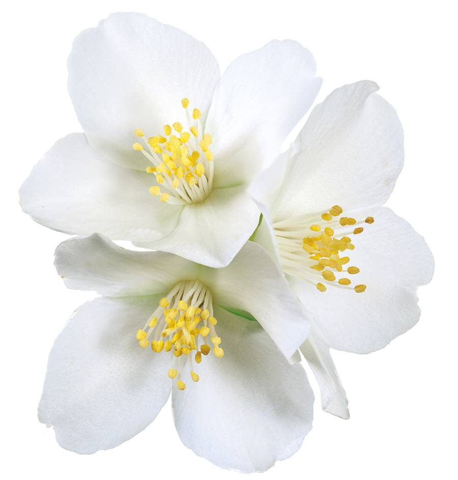 Editor’s PICK هذه اختياراتنا لجمالك هذا الأسبوع: جرّبناها وأحببناها