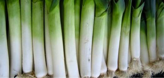 الكراث.. باقة من الفوائد الصحية لن تتوقعوا وجودها