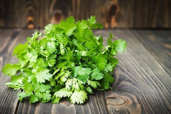 عليكم بالكزبرة.. وصفة مثالية للوقاية من الأمراض ولذّة في النكهات