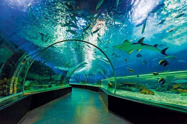 حديقة المحيط