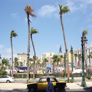 بين القاهرة والإسكندرية...