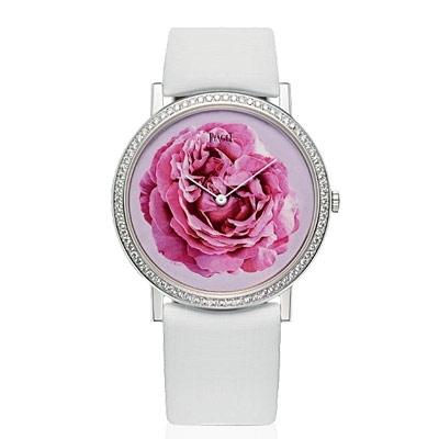 صفحات بيضاء