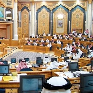 يطمحن الى أن يكن أكثر من مستشارات