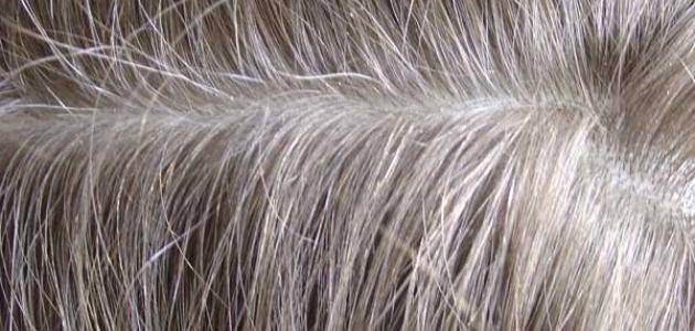 5 حيل لإخفاء الشعر الأبيض من دون صبغة