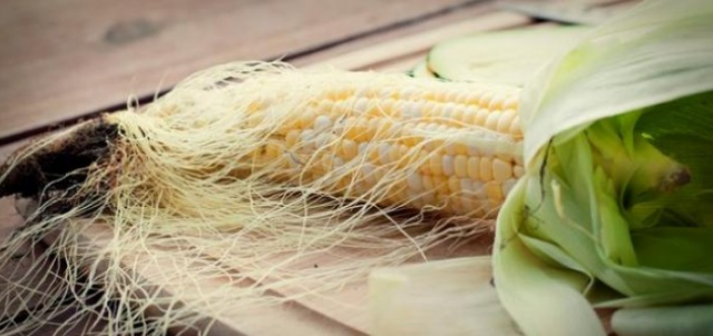 ما علاقة شعر الذرة بعلاج الكلى؟