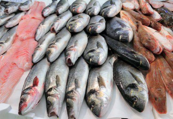 بالفيديو - نصائح لتمييز السمك الطازج