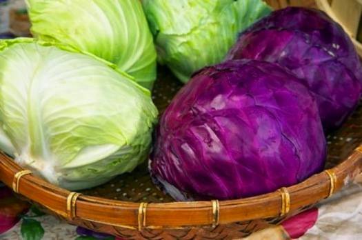 فوائد الملفوف.. صيدلية متكاملة في المطبخ... ونكهة خاصة