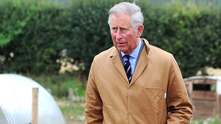 بنت أم صبي...هذا ما كشفه الأمير تشارلز عن اسم مولود الأمير هاري وميغان ماركل