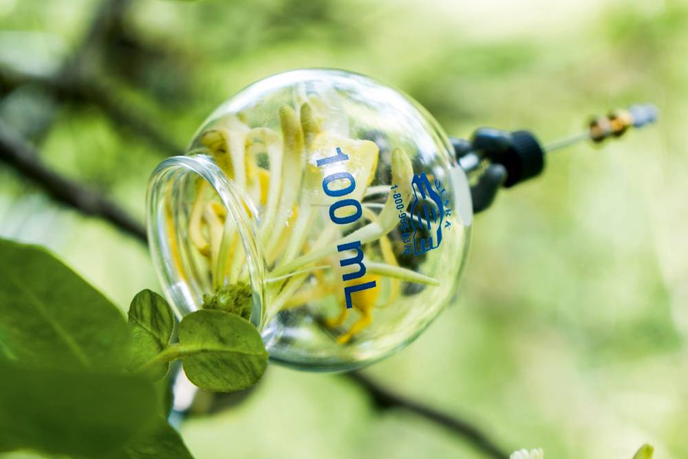 فن العطور الريفية THE ART OF COUNTRYSIDE AIR