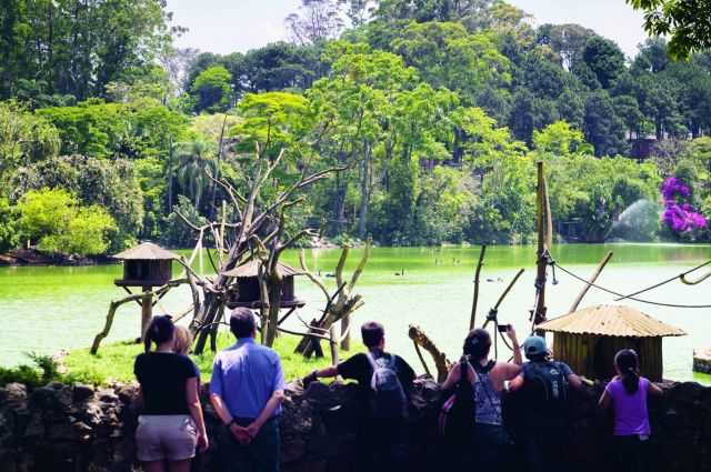  ساو باولو البرازيلية